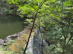 -内乡宝天曼生态旅游区
