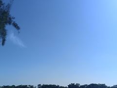 -龙舟池