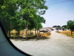 -渌洋湖湿地公园