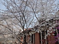 -上海交通大学医学院附属瑞金医院(总院)