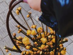 -园里火锅(仁和新城店)