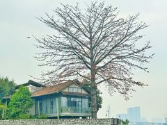 -喜洲吧·江畔老船厂·庭院餐厅(喜临院店)