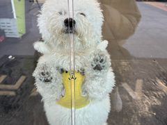 -AMRAP综合体能训练