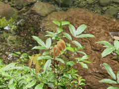 -雁荡山风景名胜区