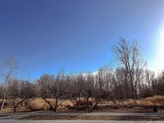 -野鸭湖国家湿地公园