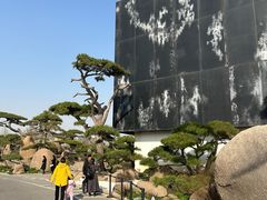 -罗红摄影艺术馆