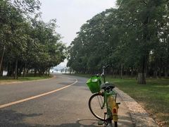 -松山湖南湖湾露营营地