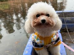 -白鹭湾湿地公园