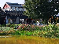 -莲花岛景区