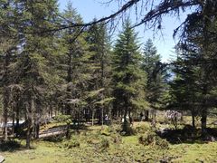 -硗碛藏寨·神木垒景区