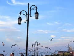 -东港音乐喷泉广场