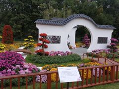 -上海共青森林公园