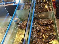 -Isla Sugbu Seafood City