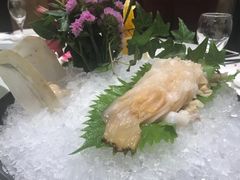 浓汤象鼻蚌-天宫南铂玫瑰园酒店