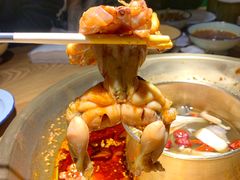 -同蛙阁美蛙鱼头火锅