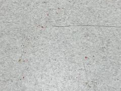 -上海市东方医院(总院)