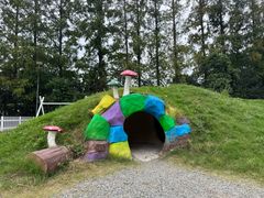 -前小桔亲子创意农场·草莓采摘·露营烧烤