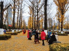 -百林公园-两江幸福广场