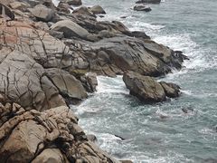 -广东惠东海龟国家级自然保护区
