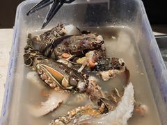 -雍和会海鲜姿造自助(湖东路店)