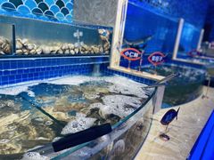 水产区-乔哥铭洋海鲜自助(皇城恒隆广场店)