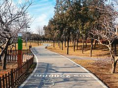 -洨河生态公园
