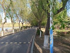-丁香湖公园