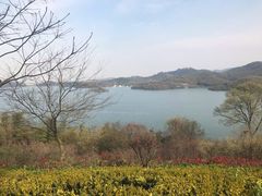 -天目湖涵田半山温泉