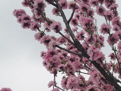 -杭州植物园