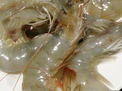 android_upload_pic-锦州喜来登酒店-盛宴黄油熟成牛排自助晚餐