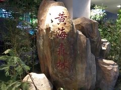 -黄海国家森林公园