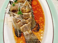 清蒸石斑鱼-巧克力渔家.小船海鲜胶东菜(三浴场店)