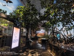 -中国湿地博物馆