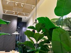 -盐集·料理食堂(江北活力源店)