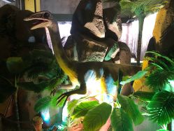 -恐龙探索乐园(磁器口店)