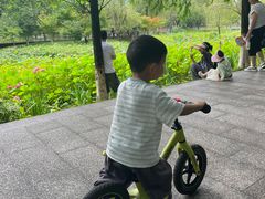 -沐仙湖湿地公园