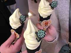 -麦当劳(SM城市广场店)