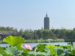 -西海子公园