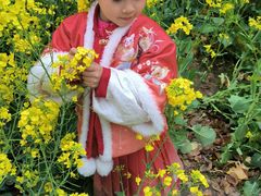 -汉仪华裳汉服旗袍·摄影写真馆(乌镇西栅店)