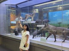 -国家自然博物馆