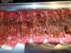 -杨记齐齐哈尔烤肉(总店)