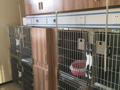 -康成宠物医院24H·CT·核磁共振