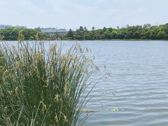 -美兰湖景区