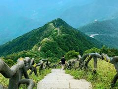 -梧桐山风景名胜区