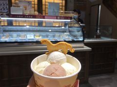 醪糟冰酪-陕拾叁(袁家村店)