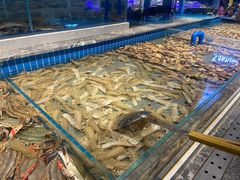 -一方渔歌蒸汽海鲜自助(文化路万达广场店)