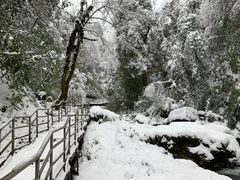 -龙苍沟森林公园