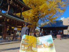 -医王山·飞騨国分寺