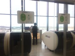 -谢列梅捷沃国际机场