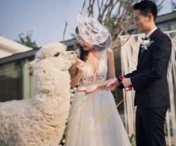-Lisamoon礼慕纱婚纱礼服高级定制
